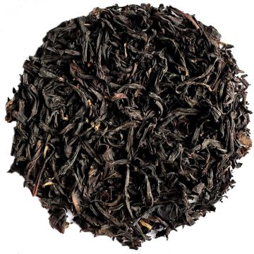 China Fujian Bailin Gongfu