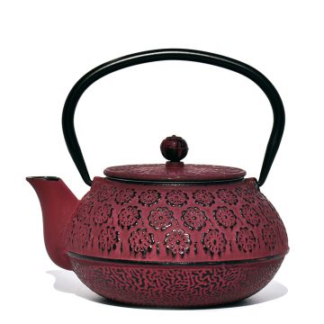 Čajnik iz litegaželeza Shenmi