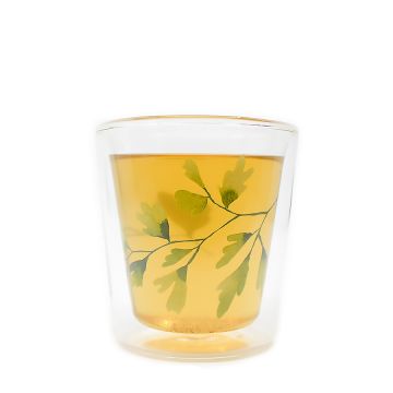 Steklena skodelica Lyn Ginkgo