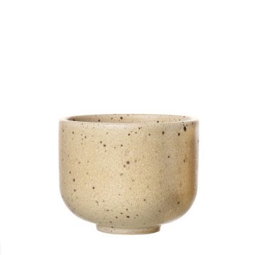 Skodelica za čaj Beige